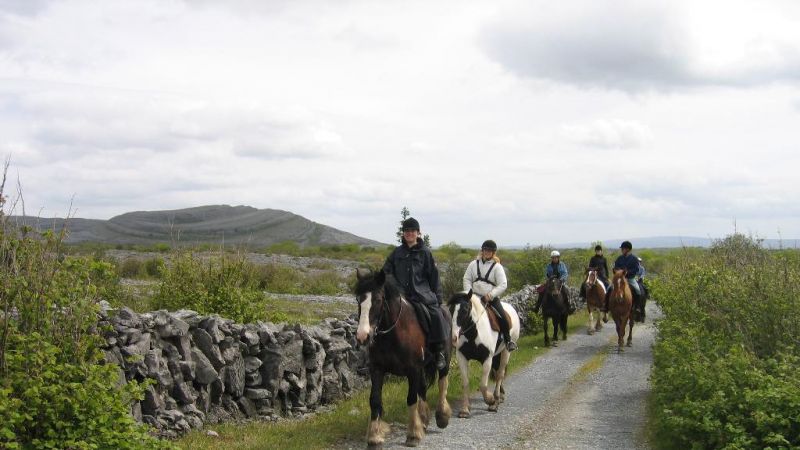 horse trekking 2