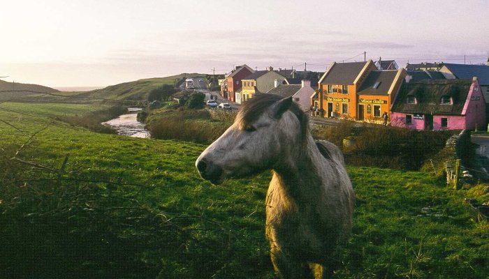 Doolin Pony